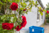 Mehrgenerationenhaus mit einer freien Wohnung 5km zum Ostseestrand - Rosen