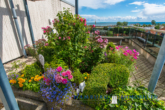 Dachterrasse - Ferienflair mit Schwimmbad im Haus Berolina , charmante 1-Zimmer-Wohnung in 23747 Dahme