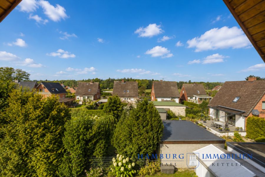 Ausblick DG