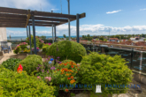 Wohnung mit Ostseeblick, Schwimmbad, Tiefgarage in 23747 Dahme - Dachterrasse_4