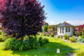 Garten - Scandinavischer EBK Bungalow auf ca. 792m² Traum-Grundstück in 23747 Dahme